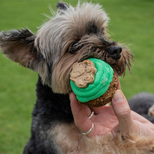 Liver & Parsley Muffins