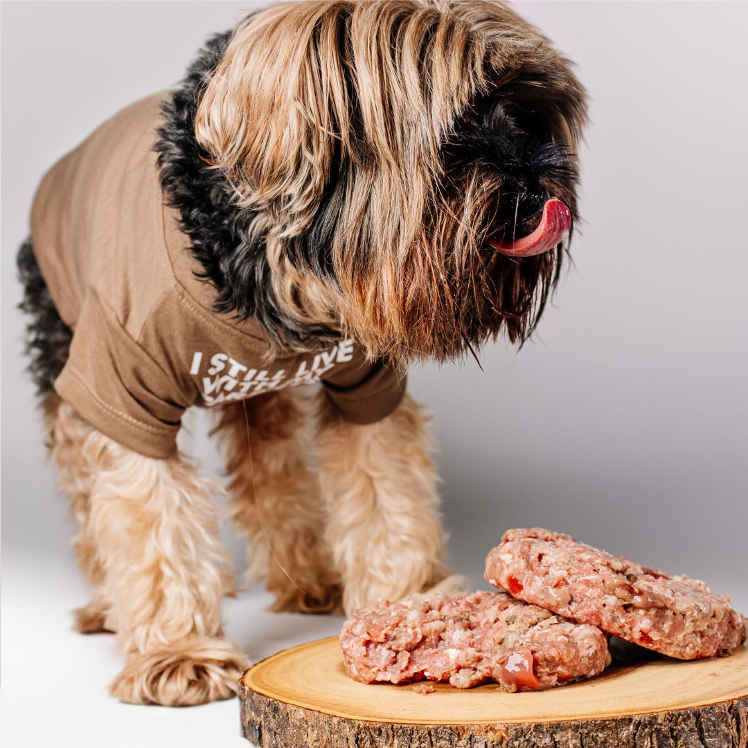 Beef Maintenance for Dogs