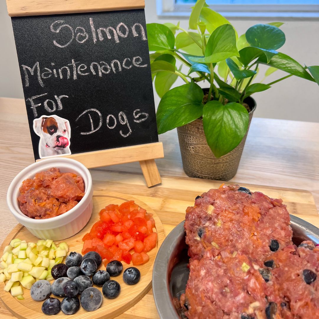 Salmon Maintenance for Dogs