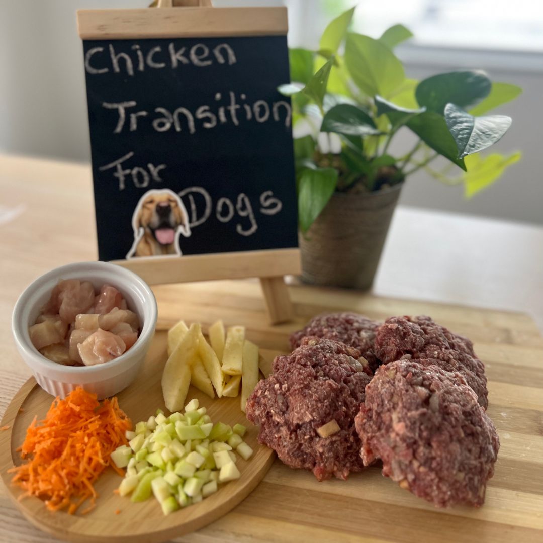 Chicken Transition for Dogs